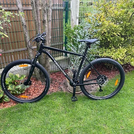 Villa Aselva With Pool Near Kamenjak Nature Park *