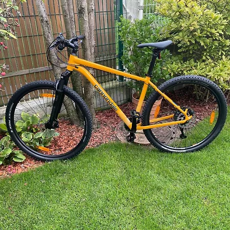 Villa Aselva With Pool Near Kamenjak Nature Park *